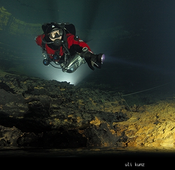 In der Höhle ... Troglophile unter sich